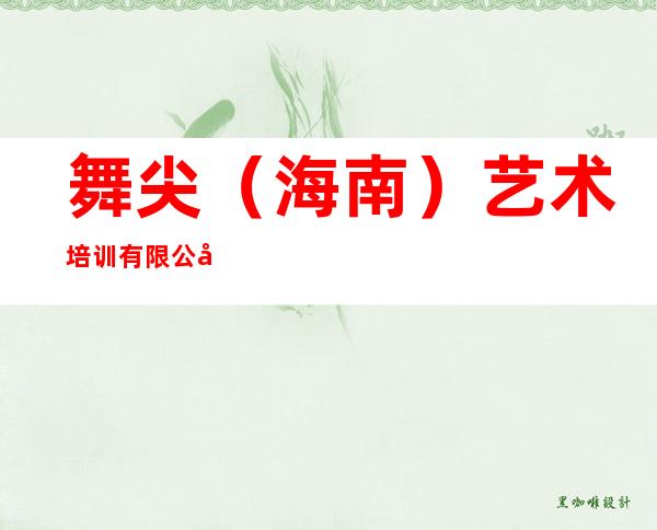 舞尖（海南）艺术培训有限公司